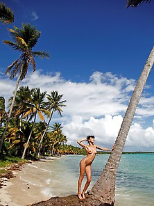 Coconut Beach