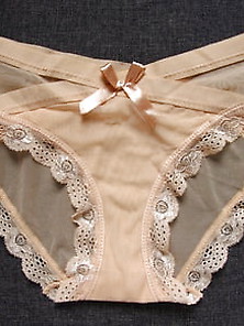 Sheer Lace Panties