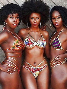 Black Beauty Ebony Bikini Vol 46