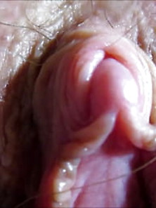 Big Hard Clit Close Up With Hairy Cunt