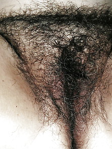 Like Your Pussy Thick And Hairy?