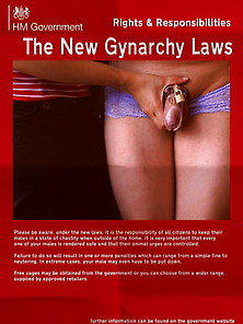 Gynarchy Laws