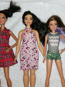 Curvy Barbie,  Skipper,  And Fashion Barbie