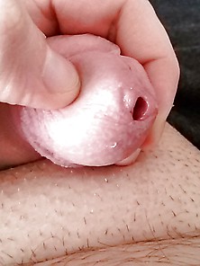 Balls And Small Cut Cock