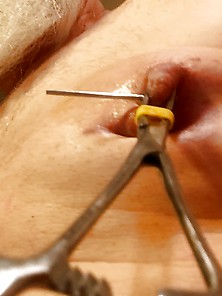 Pierced Slave Dic New Piercings For The New Year