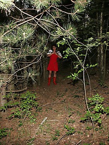 Little Red Riding Hood,