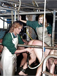 Cow Girl Milking Male