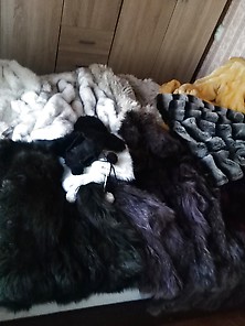 My Fur Coats 2