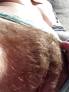 Hairy Pussies #40