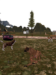 Second Life Funnys