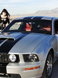 Mustang Pt1