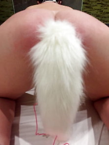 Favorite Tail