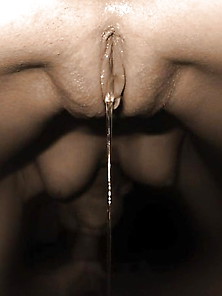 Favorite 5 Dripping Wet