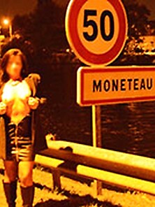 Monéteau Et Son Pont