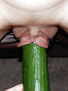 Tenia's Cucumber
