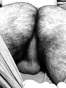 Hairy Butts