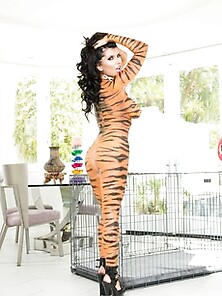 Romi Rain Eye Of The Tiger Takes A Massive Cock In Her Ass For T