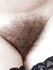 Hairy Girls Close Ups