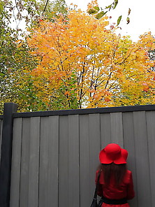 Red And Gray (Fall Album)