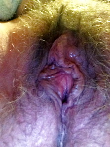 Wife's Pussy