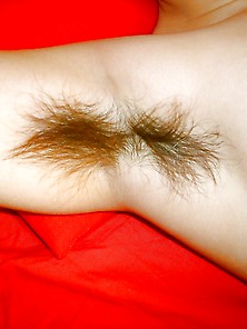 Anonymous Hairy Goddess Pits,  Nipples And A Little More