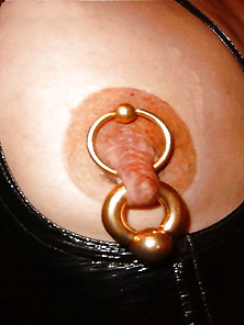 Nipple Piercings 43