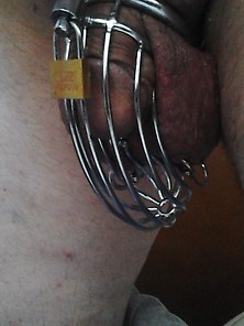 Fist-Whore New Chastity Cages