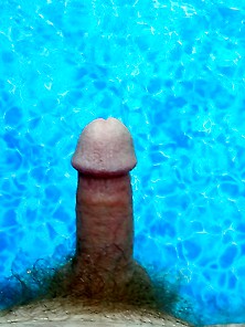 In The Pool