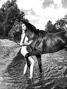 Nudes And Horses