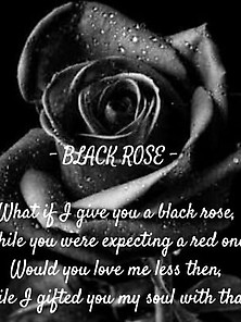 Black Roses With Meaningful Words