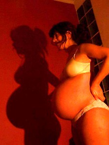 Perritas Cargadas Embarazadas Sexys