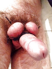 Tied Balls Above My Cock